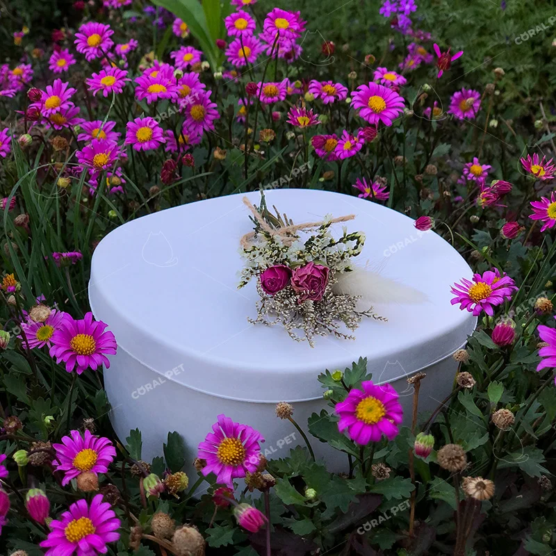 100% biodegradable pulp paper box scattering urn for animal ashes sea burial and earth burial pet cremation ashes pulp box