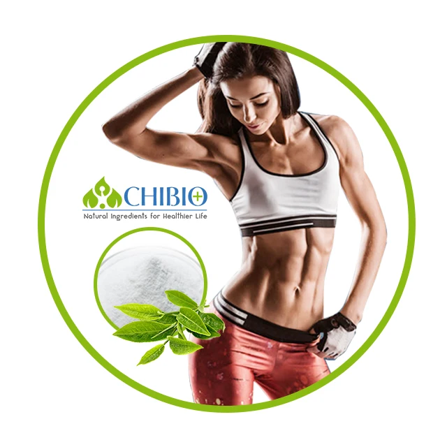 Less Bitter Natural Kucha Tea Extract Theacrine for Sports Nutrition