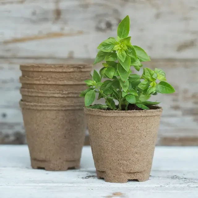 Made in China Organic Indoor Vegetable Garden Starter Kit Indoor Plant Indoor Garden Kit Plant Kit Vegetables