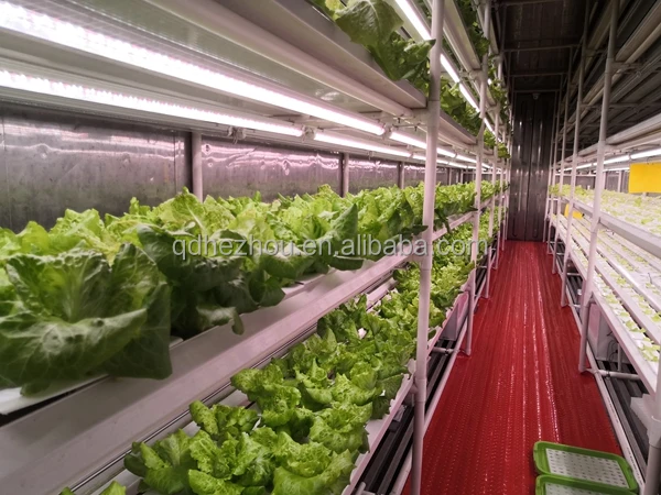 Hydroponics System Indoor Vegetable Germination Kits with LED Light Smart Vegetable Planter Hydroponics System