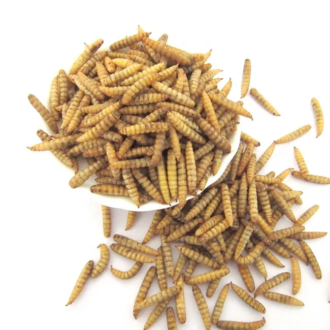 Личинки солдата мухи порошок и масло сушеный BSF черный корм для животных 100% натуральный высококачественный светло коричневый рыб полипропиленовый пакет упаковка
