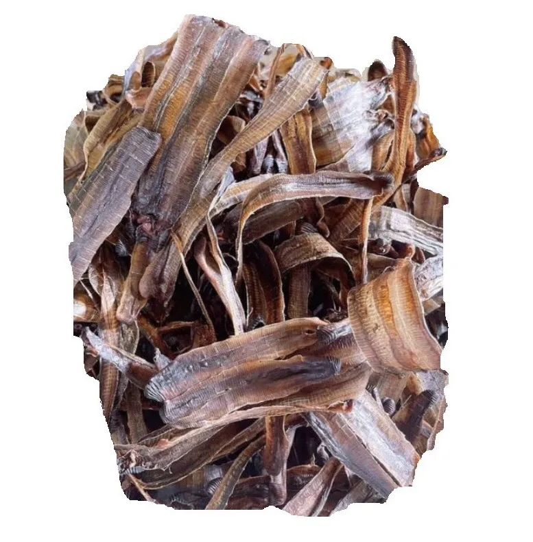 2024 Hot Product High Quality Dried Earthworms Powder Competitive Price Export Standard Wholesale from Vietnam