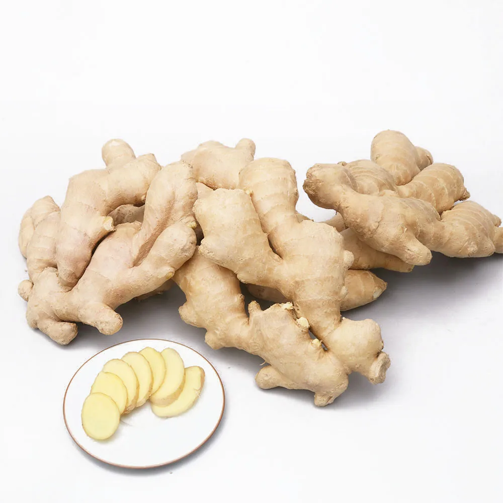 Fresh Ginger Export High Quality Fresh Elephant Ginger From Fresh Ginger Price In China