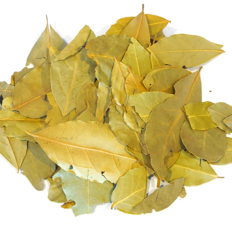 Wholesale Dried Laurel Leaves Single Herbs and Spices Dried Bay leaves
