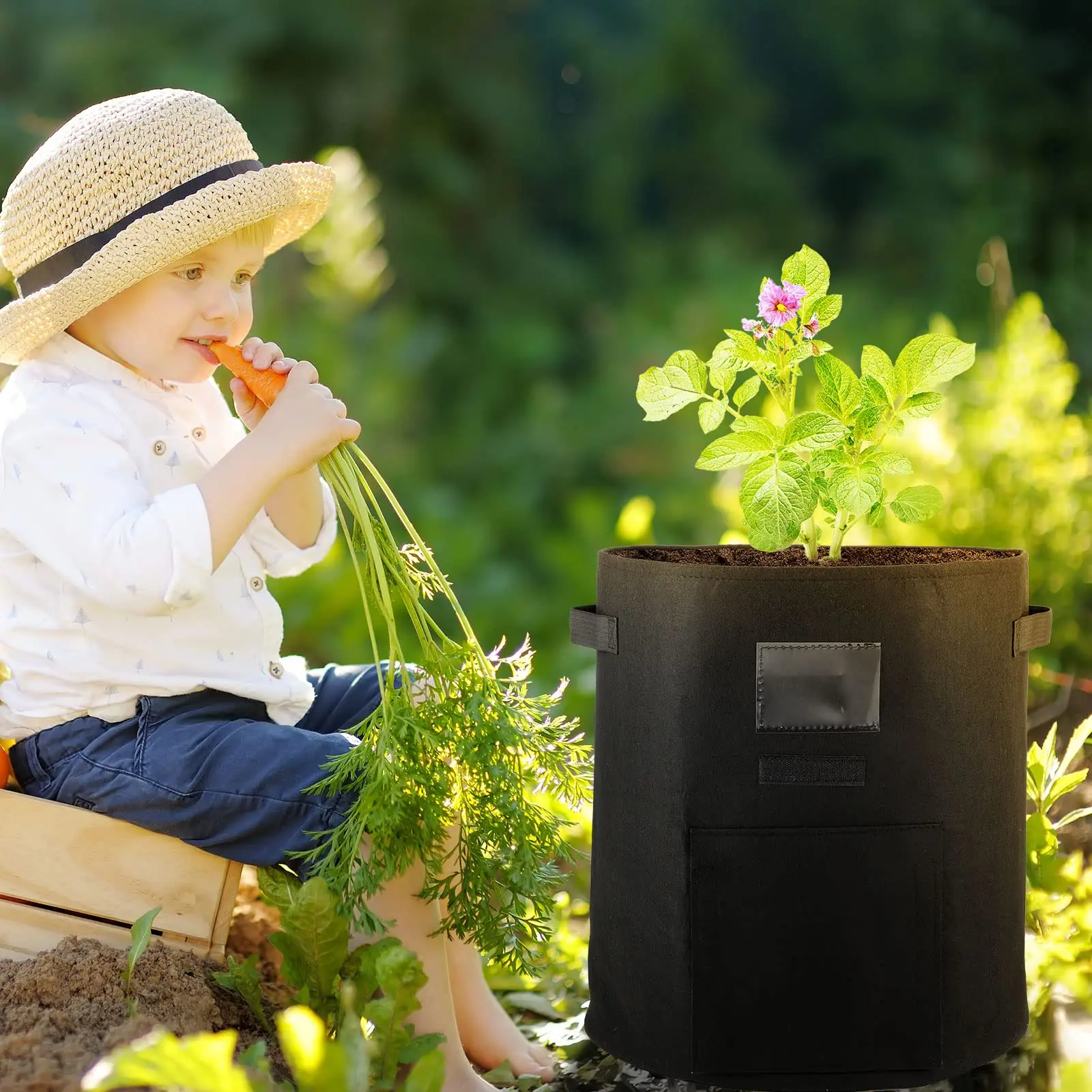 Heavy Duty Gardening Household Flower Planting 2 Gallon Bags For Plants