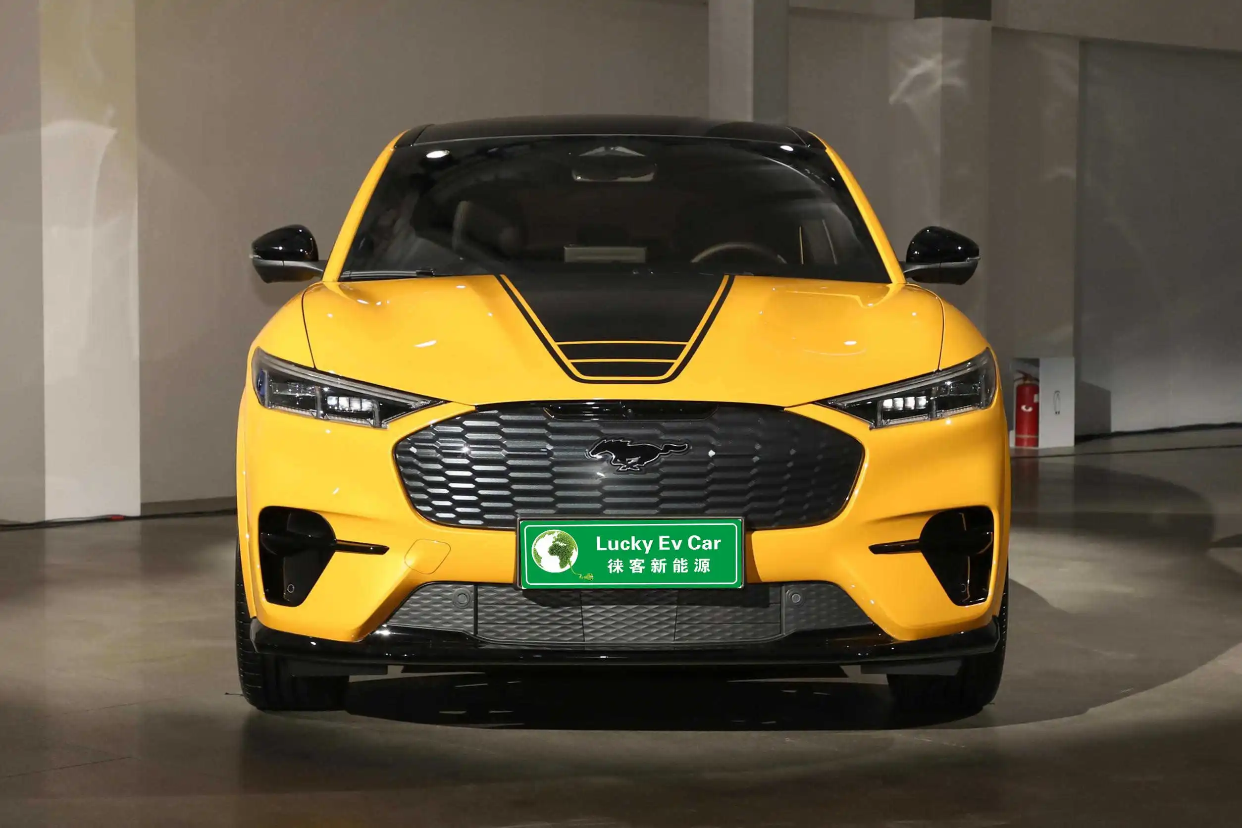 2024 Ev  Ford Mustang   Mach-e Electric New Energy Vehicles Electric Car Adult New Car  Mach-e Electric