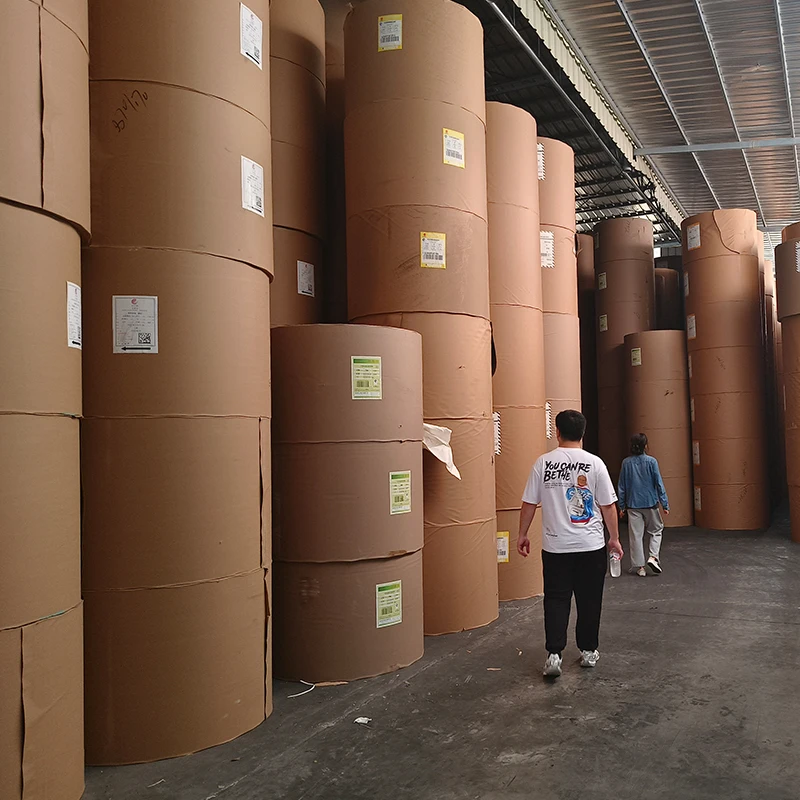 Single or Double PE Coated Bottom Customized Beverage Specialty  paper cup roll raw materials High Quality Food Grade