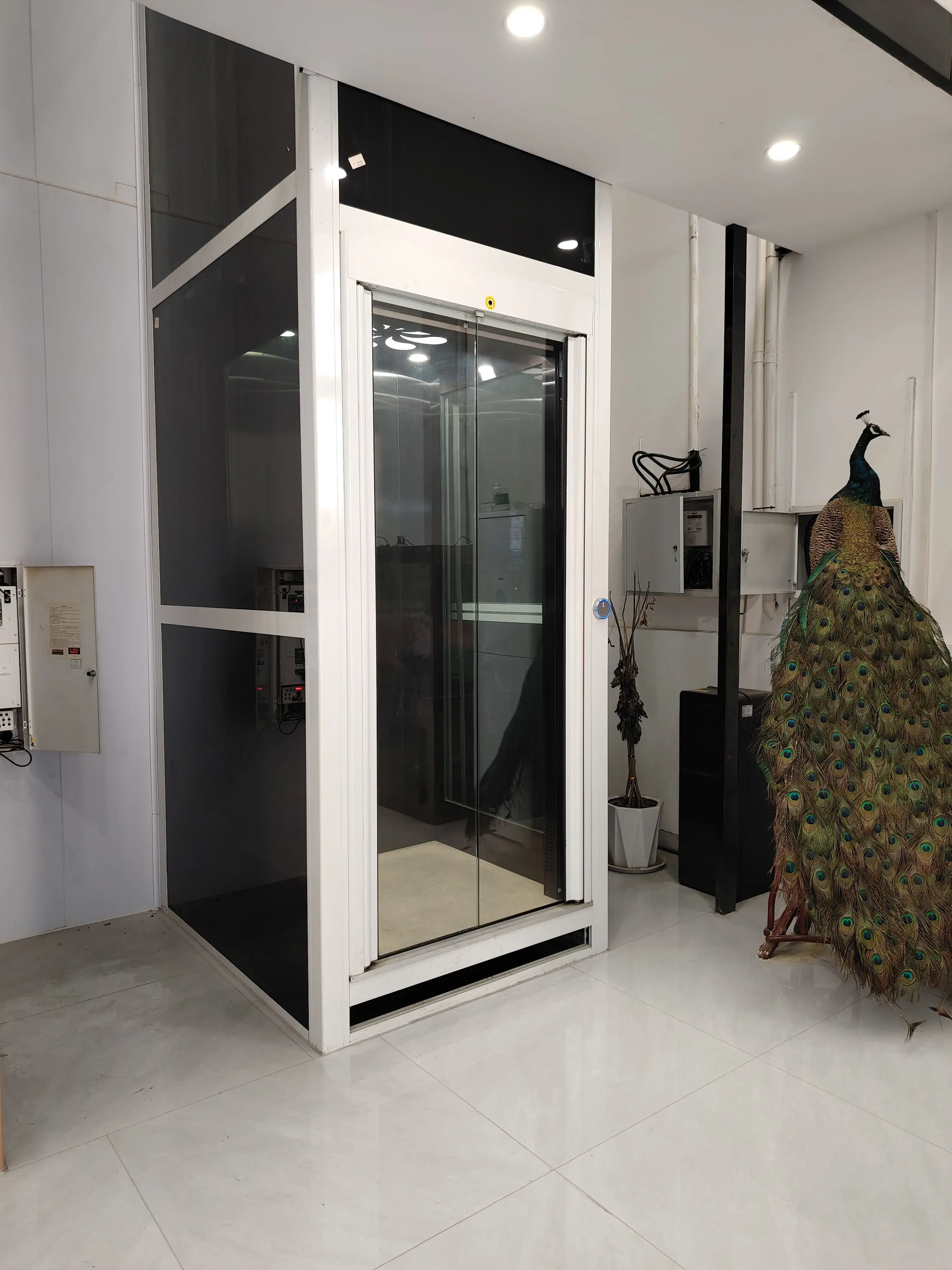 Affordable Prices Home Lift Small Home Hydraulic Lifting Platform Lifts Elevator Residential Villa Elevator