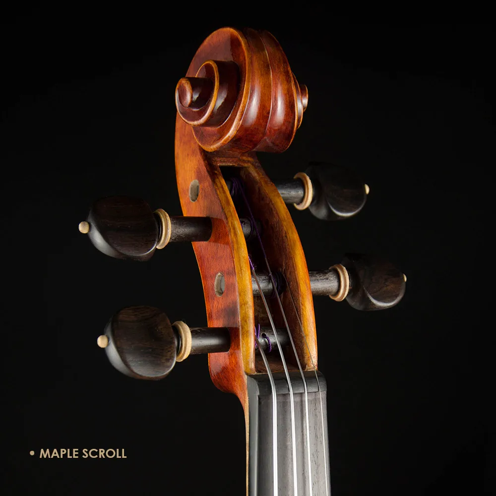 CHRISTINA V05C 4/4 Professional Spruce Violin with Maple Side Gift String Bow Included