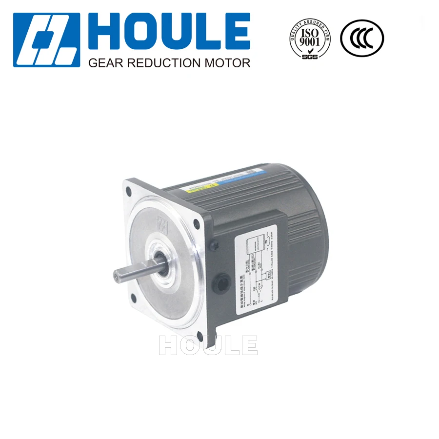 Houle high quality 25W Dark blue AC gear reduction motor mini gear motor worm gearbox