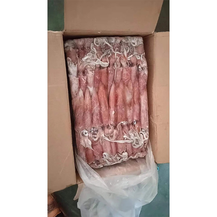 Новое поступление оптовая продажа морепродуктов SANFENG кальмары Замороженные Кальмары Loligo для