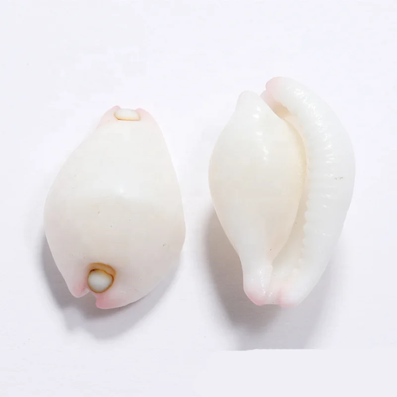 2.5cm Natural White Jade Rabbit Snail White Conch for Diy Treasures Rare Shell Collection Gift
