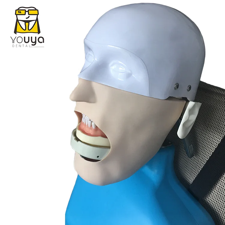 Simulation Tooth Brushing Extraction Human 3 Dimensional Diseased Model