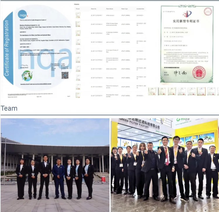 GreenFilter-Trade assurance diesel fuel filter replacement use for PERKINS 26561118 2133943 3132428-R91 8385932 BF587-D