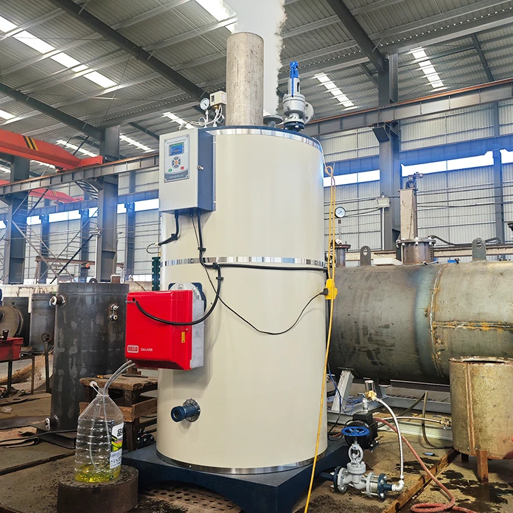 Small Gas Fired Steam Boiler100kg 200kg 300kg 600kg Vertical Diesel Oil Steam Generator Boiler for Sale