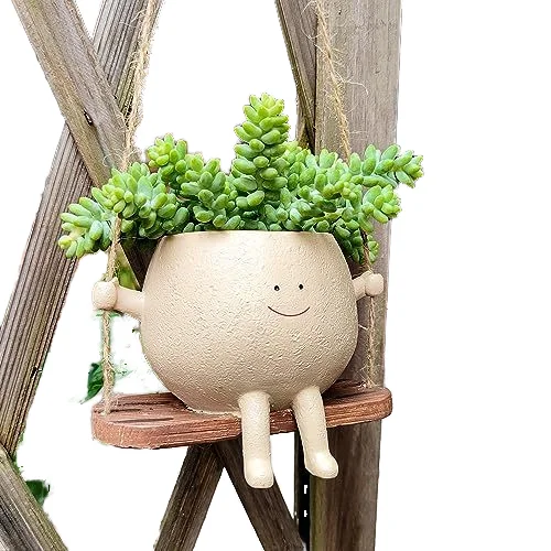 Pop cute smiley face swing flower pot decoration personality cartoon vase resin decoration succulent Hanging flower pot