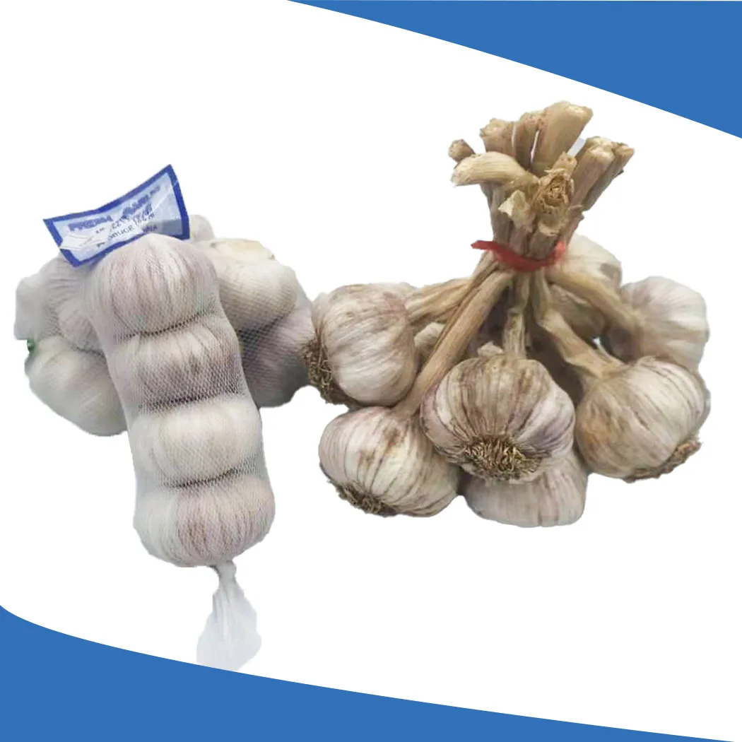 Чеснок чисто белый Shandong высшего качества