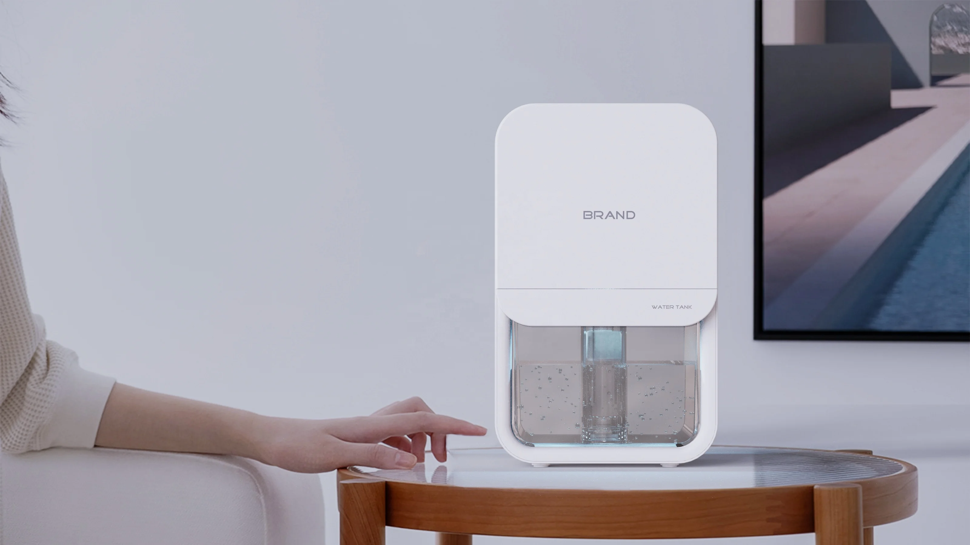 OEM factory resource peltier portable domestic dehumidifier small 12v with Semiconductor function