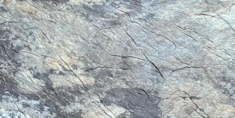 MCM Product Cloud-Dragon 3D Board Flexible Fireproof Wall Featuring Tile