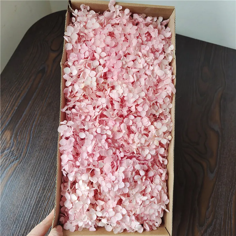 Anna Hydrangea Preserved Fresh Boxed DIY Flowers for Christmas Decorations Drop Glue Accessories