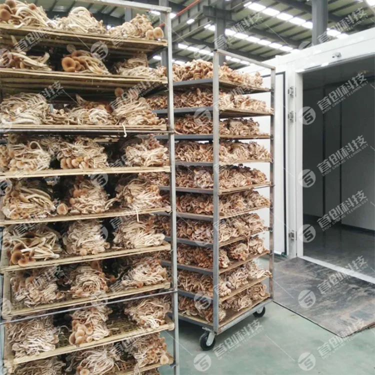 Custom 201 304 Stainless Steel Dehydrator Drying Rack Trolley Oven Rack Removable Tray Trolley Baking Racks