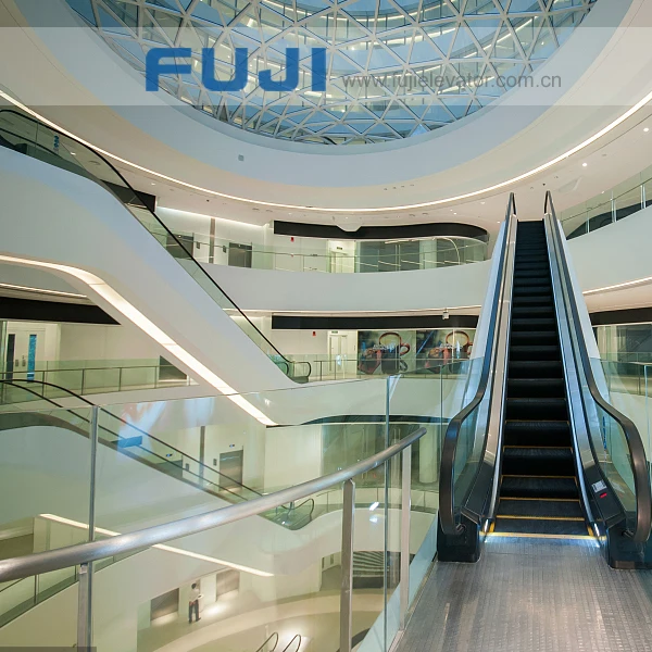 FUJI Residential Escalator Cost Origin Type FME Angle Place Model Step Width Inclination