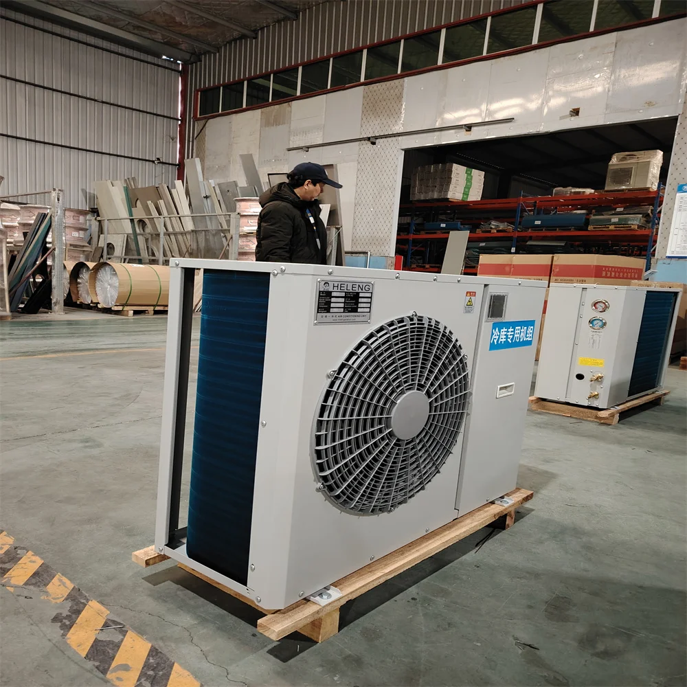 Mushroom climate control all in one machine for 20ft Containerized mushroom condensing unit