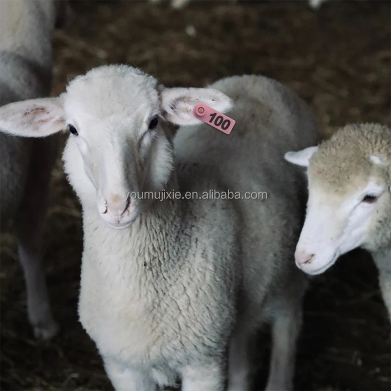 TPU Farm Animals Ear Tags For Sheep Laser Numbers Pink Sheep Ear Tag