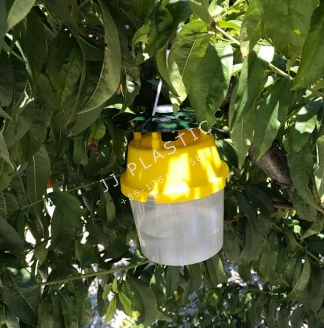
Cheap Good Quality Pheromone Trap Moths, Pheromone Insect Traps 