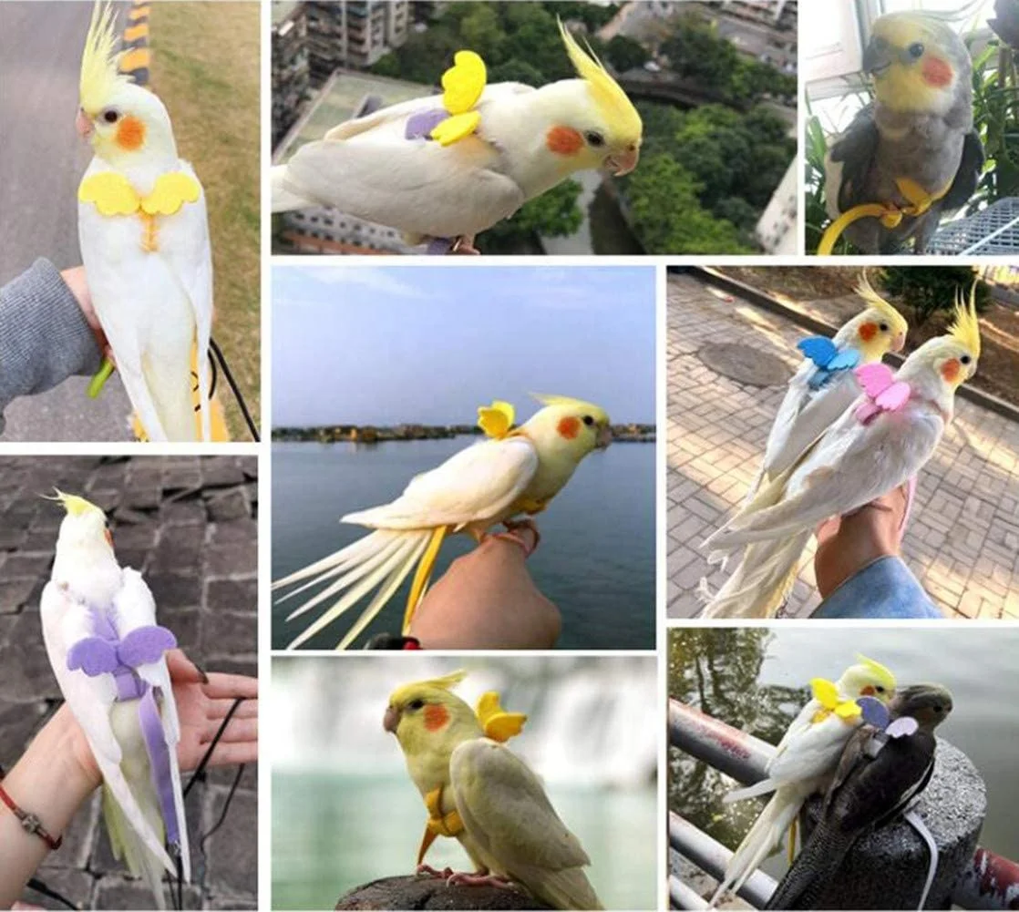 Adjustable Parrot Bird Harness Outdoor Flying Rope for Cockatiel Small Birds Cockatiel Monk Parakeet Conure Crested Myna