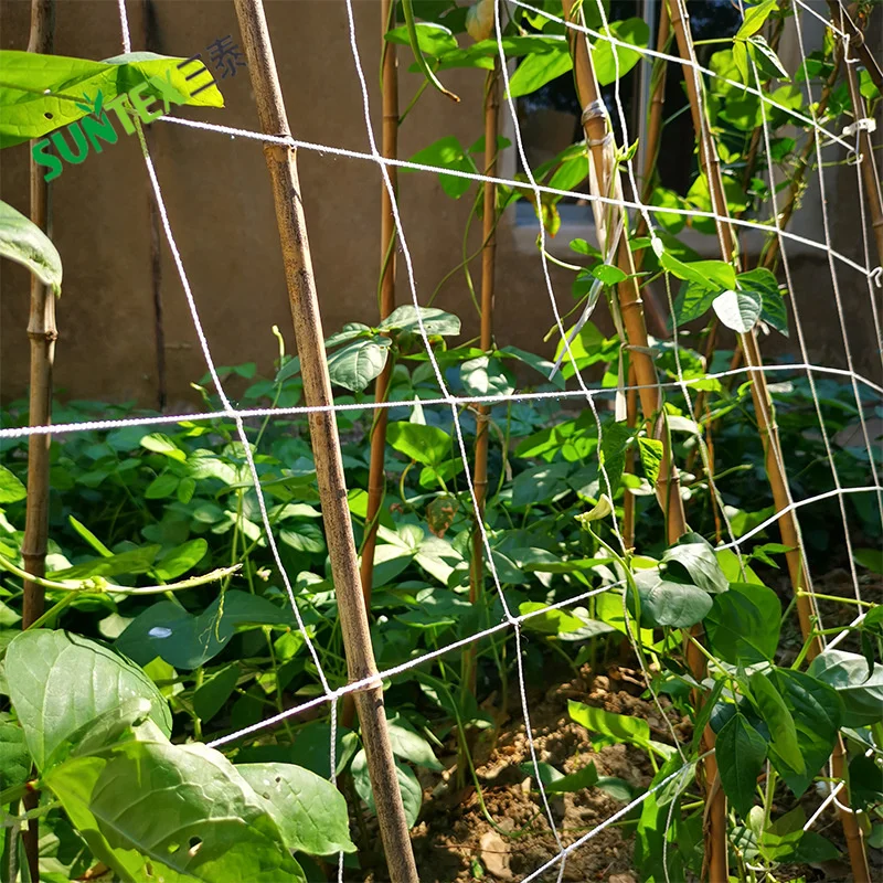 Soft Mesh Nylon Trellis Netting Bulk Roll  5 x 350 ft Heavy-Duty Garden Netting for Climbing Plants