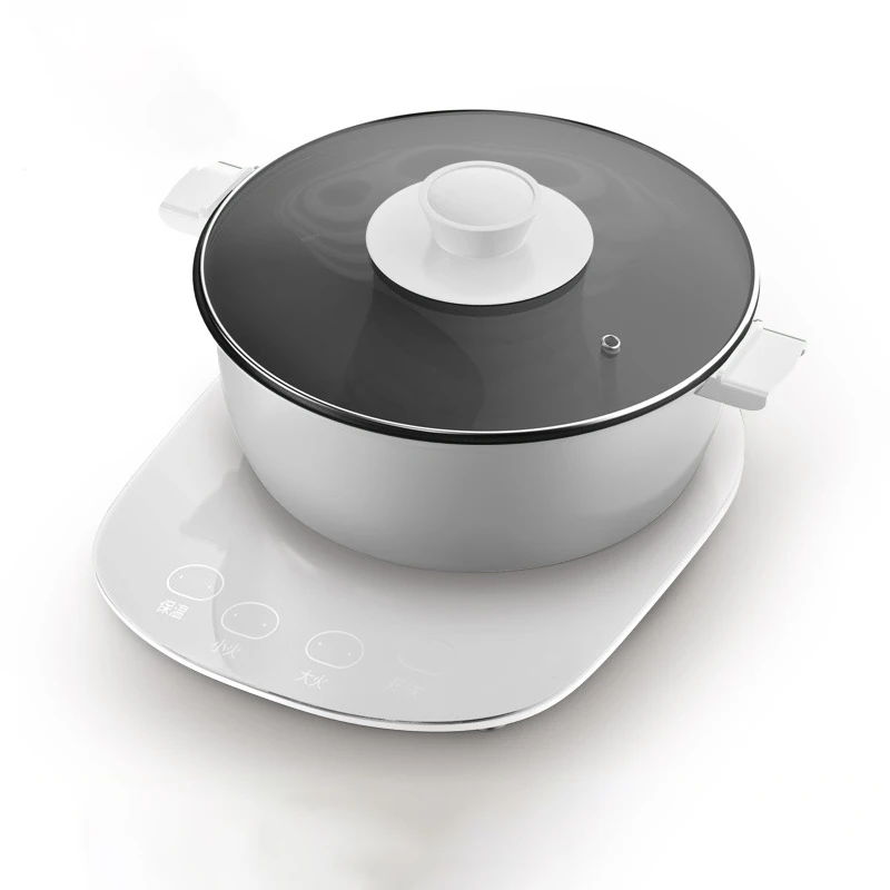 110V Electric Hot Pot Electromagnetic Furnace Integrate Multi-function Electric Cooker at Home