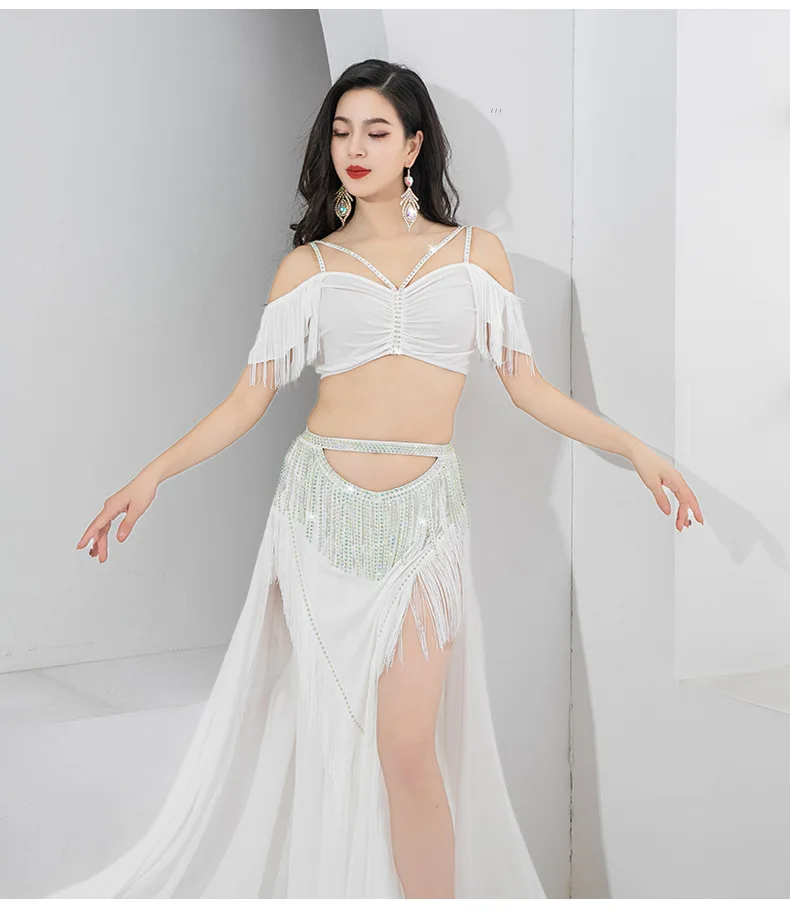 Belly Dancer Costumes for Women Belly Dance Top and Belly Dancing Skirt