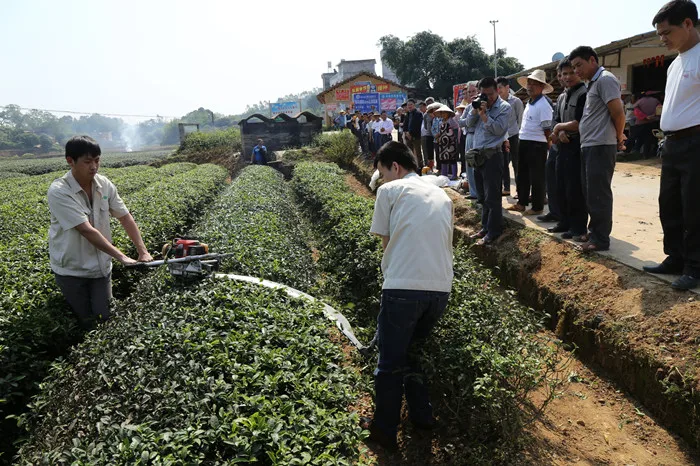 Японский секатор для чая Kawasaki SM110 Mitsubishi