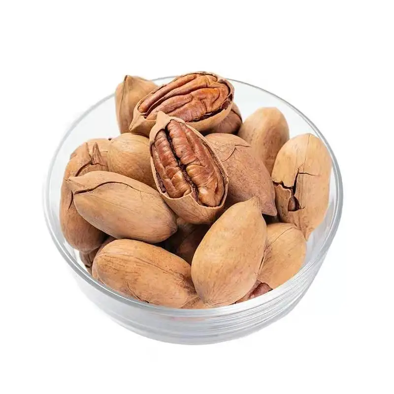 Wholesale Supplier Pecans Nut Raw Pecan Nut Pecan Nuts In Shell For Sale