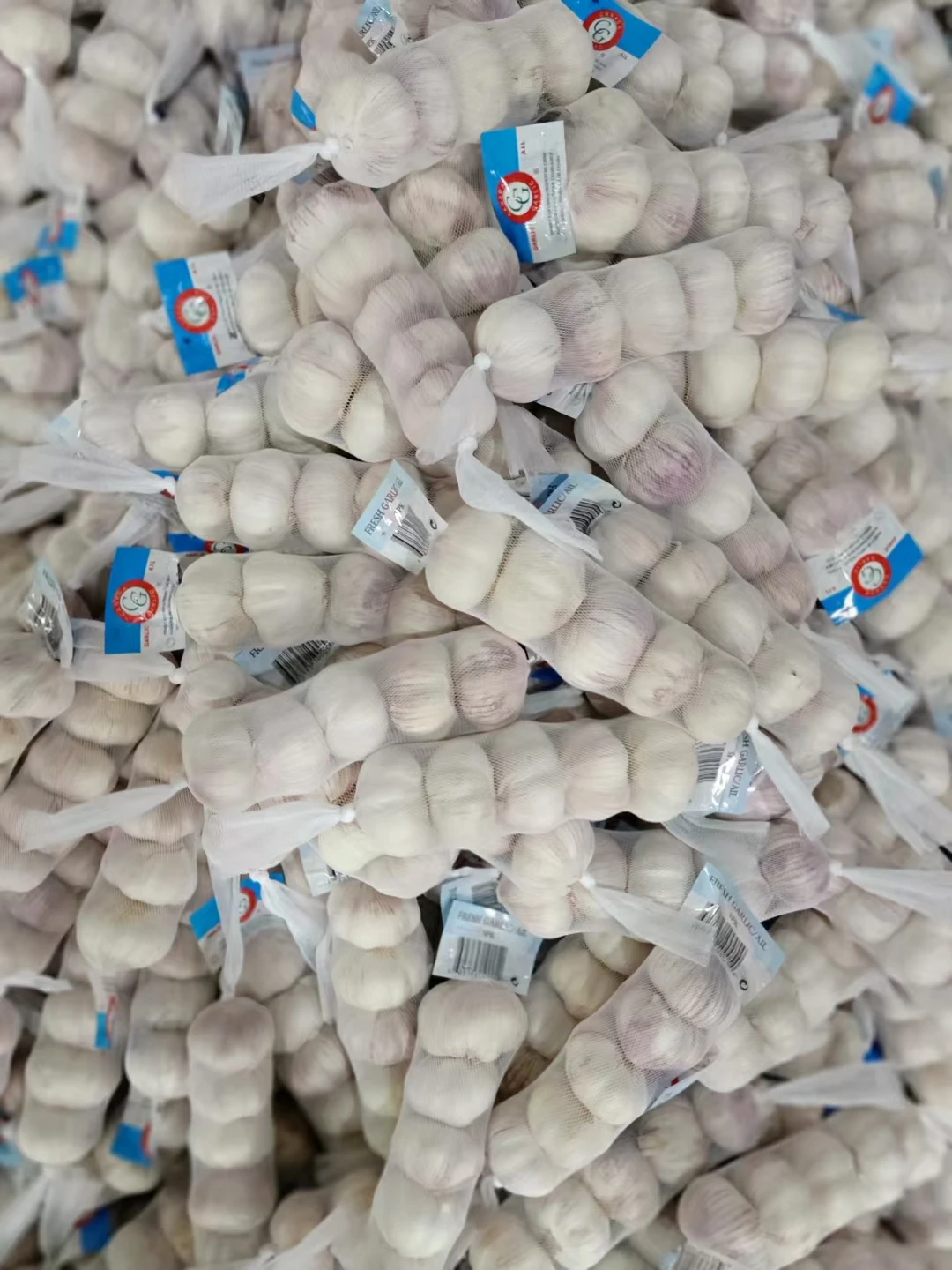 Factory direct garlic cheap new garlic Chinese garlic