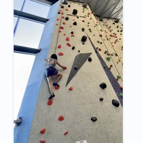 Bouldering Wall Climbing Indoor Traverse Rock Climbing Wall With Safety Equipment