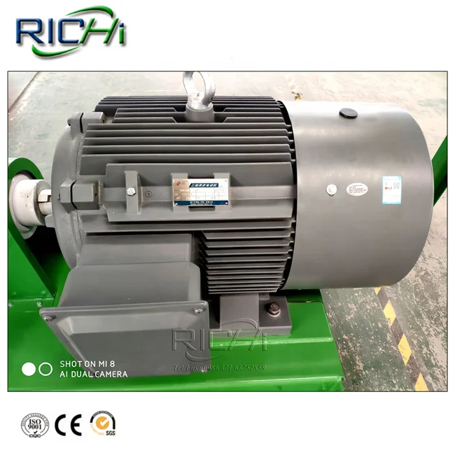 Professional Manufacturer RICHI Hops Hemp Alfalfa Sawdust Wood Biomass Pellet Making Machine