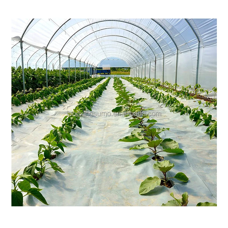 Пленка для теплиц ETFE 200 микрон пластиковая теплица крышка выращивания овощей