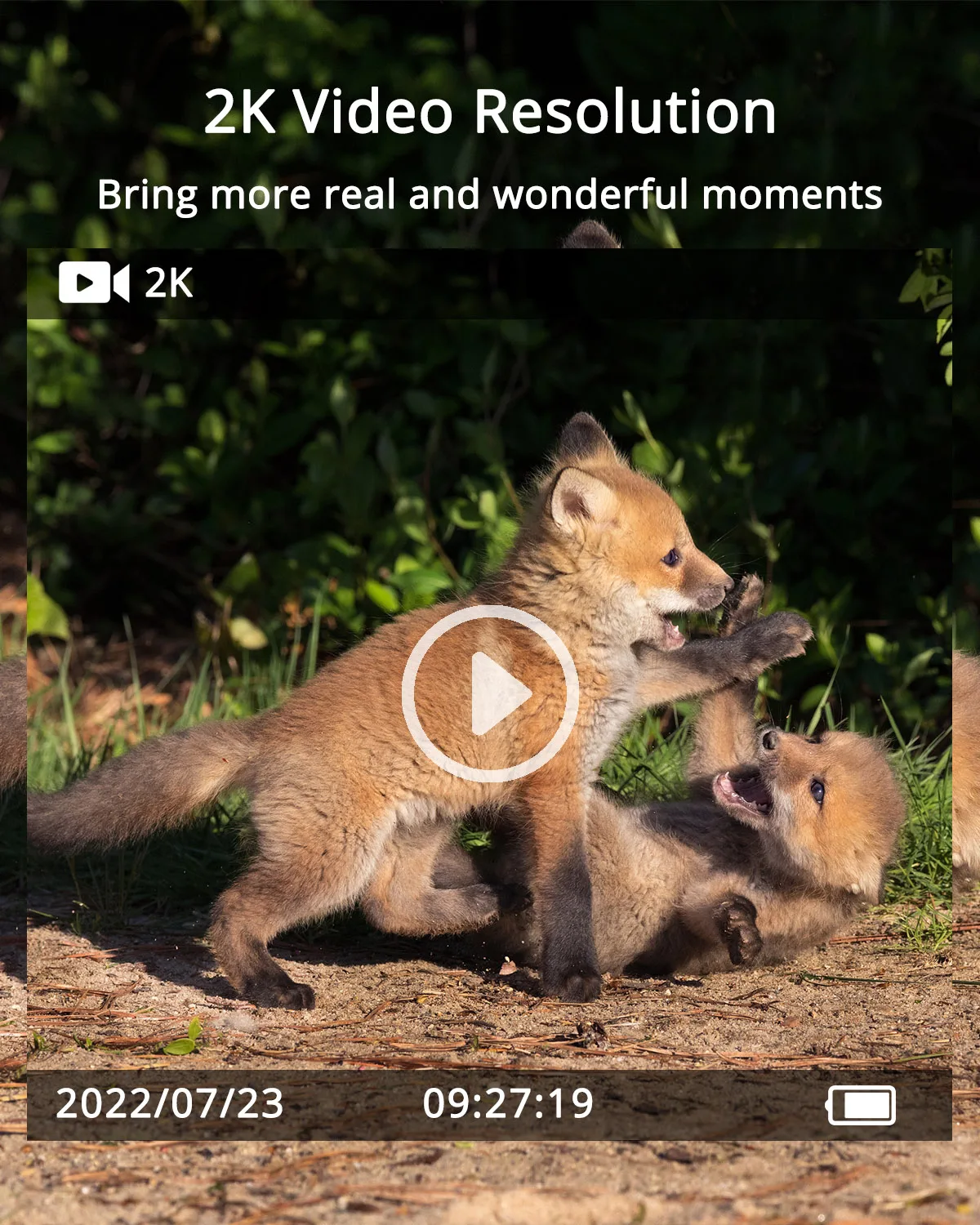 4G Hunting Camera APP Wireless Cellular Trail Camera with  Solar Panel 940nm Infra LEDs