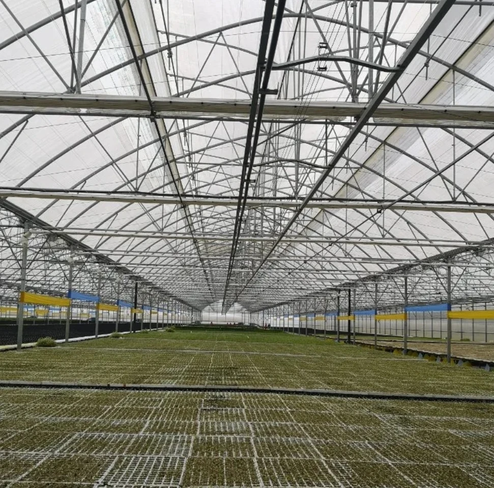 Professional Agricultural Film Greenhouse with UV Stabilization and Temperature Control Systems