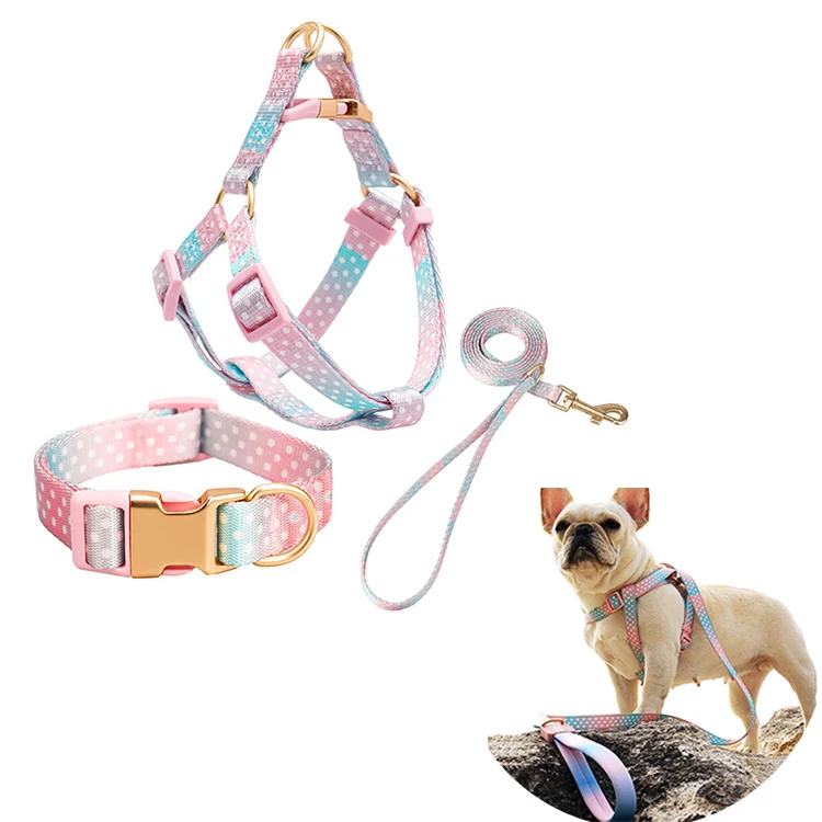 Custom training designer pet harness set luxury paracord cat dog leads tactical soft no pull adjustable dog harness pitbulls