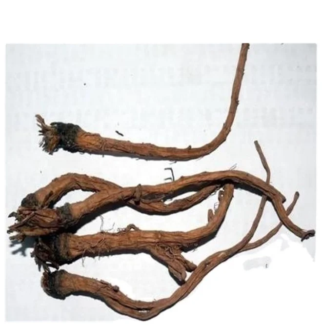 Dandelion root Extract powder price