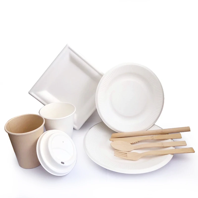 
customize disposable party round paper plates sample set and cups with cover buyers 