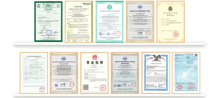 gummy certificate.jpg