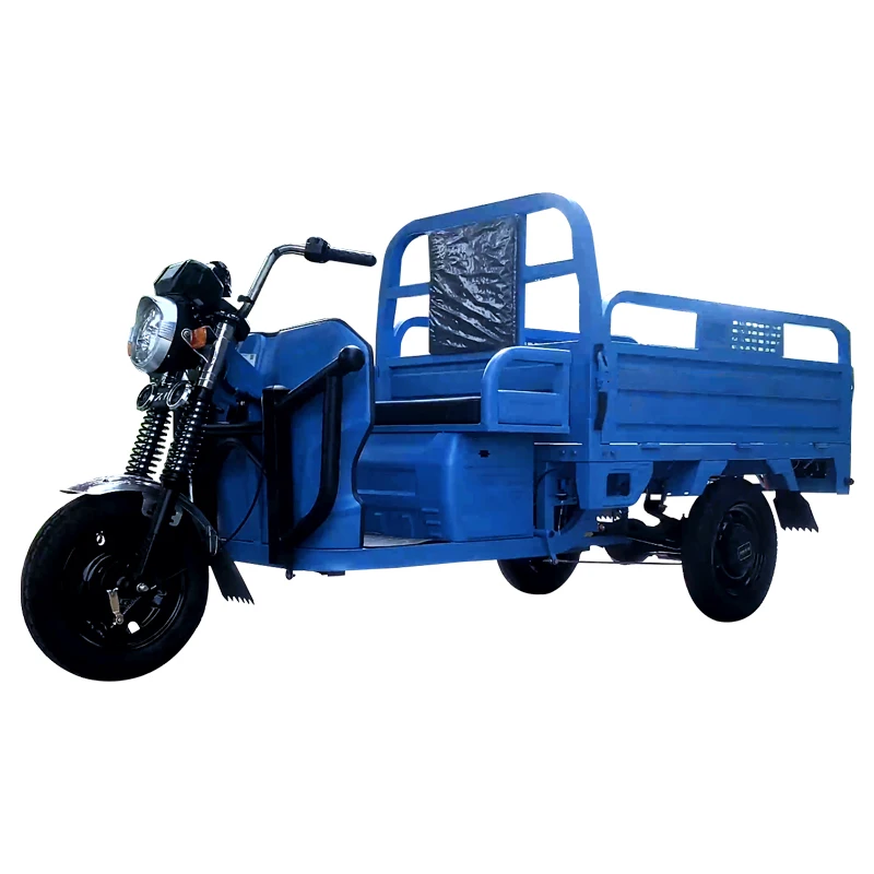 2024 New Design Cargo three wheels electric tricycles with strong power