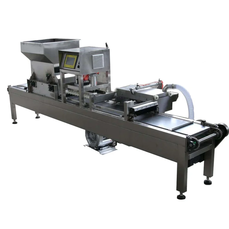 750 Trays Per Hour Farm Automatic Nursery Tray Vegetable Seed Sowing Machine with Free Mould