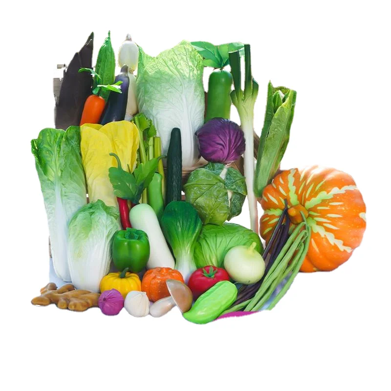 CXQD wholesale early education props studio shooting window display cabbage radish vegetable model simulation
