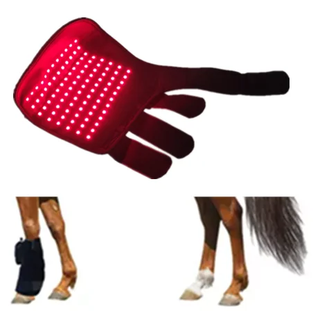 Horses Use Red Light Treatment Belt Light-emitting Diode Device Joint Pain Relieve Bones Recovery Device