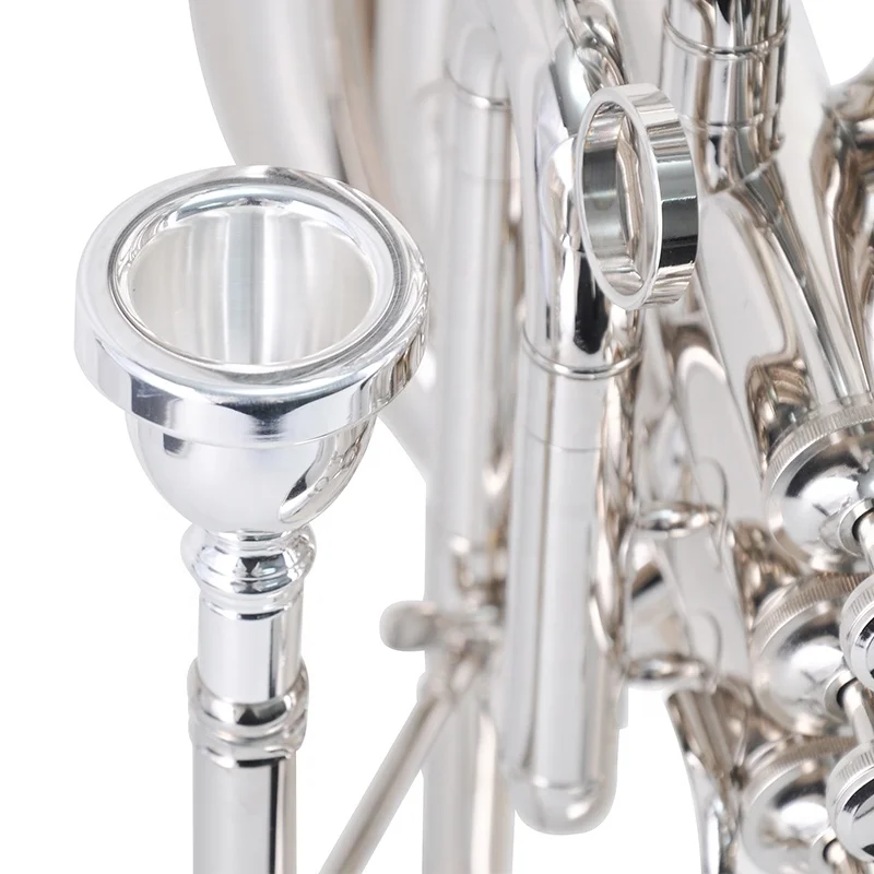 Professional Brass Instrument Bb Key Marching Tuba